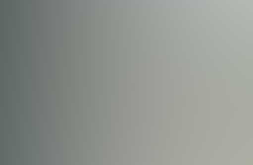 在线手机号轰炸网页版